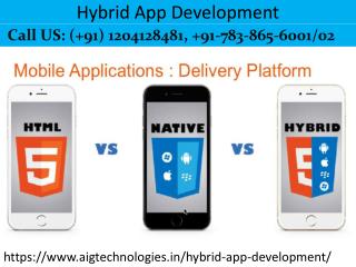 Hybrid App Development At Noida, Delhi, Gurgaon | India