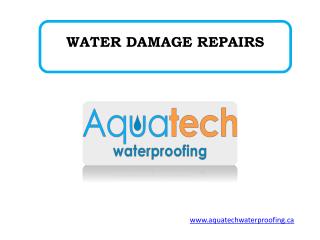 WATER DAMAGE REPAIRS