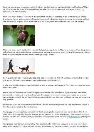 Puppy Proper care Suggestions For Brand New Puppy Owners