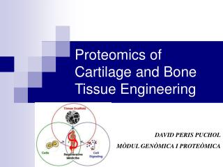 Proteomics of Cartilage and Bone Tissue Engineering