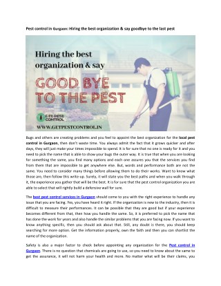 Pest control in Gurgaon: Hiring the best organization & say goodbye to the last pest