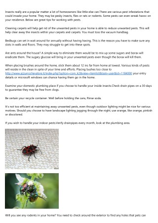Attempt These Strong Ways To Management Property Pests
