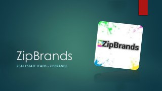 Real Estate Leads - Zipbrands