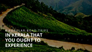 4 popular road trips in Kerala that you ought to experience