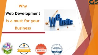 Why Web Development is a must for your business