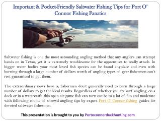 Important & Pocket-Friendly Saltwater Fishing Tips for Port O’ Connor Fishing Fanatics