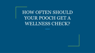 HOW OFTEN SHOULD YOUR POOCH GET A WELLNESS CHECK?