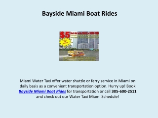 Bayside Miami Boat Rides