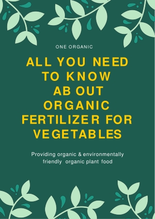 All You Need To Know About Organic Fertilizer for Vegetables