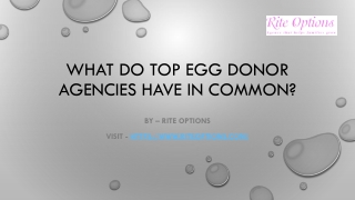 WHAT DO TOP EGG DONOR AGENCIES HAVE IN COMMON?