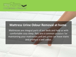 Mattress Urine Odour Removal at home