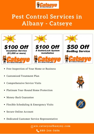 Pest Control Services in Albany – Catseye