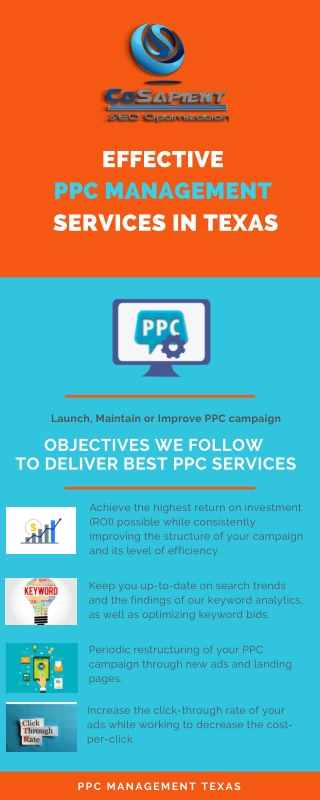 Effective PPC Management Services in Texas