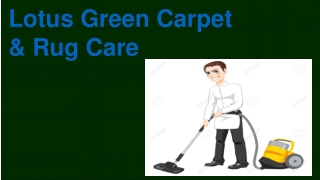 Lotus Green Carpet & Rug Care