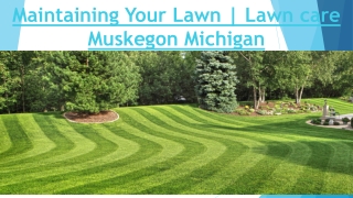 Lawn care Muskegon Michigan