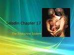 Saladin Chapter 17