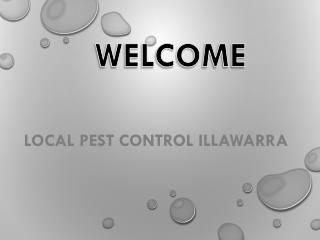 Best Pest Control in Illawarra