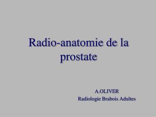 Radio-anatomie de la prostate