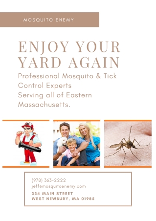 SAFE & EFFECTIVE MOSQUITO CONTROL