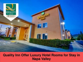 Quality Inn Offer Luxury Hotel Rooms for Stay in Napa Valley