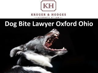 Dog Bite Lawyer Oxford Ohio