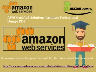 Aws-Certified-Solutions-Architect-Professional 100% Passing Assurance| Amazondumps.us