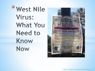 West Nile Virus: What You Need to Know Now