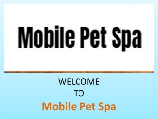 Mobile Pet Spa:Pet Groomer Beverly Hills