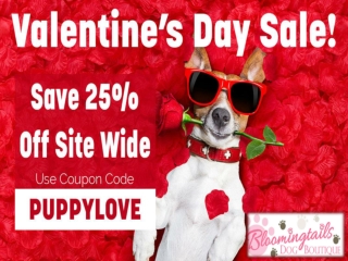 Valentine's Day SALE Online || Bloomingtailsdogboutique