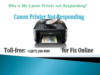 Why your canon printer is not responding
