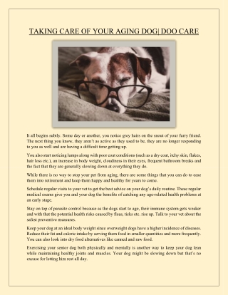 TAKING CARE OF YOUR AGING DOG| DOO CARE