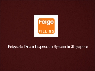 Drum Inspection System
