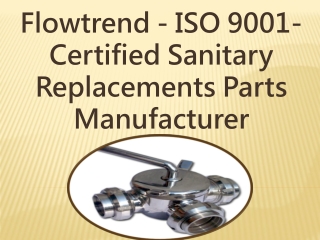 Flowtrend - ISO 9001-Certified Sanitary Replacements Parts Manufacturer