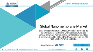 Nanomembrane Market by Type, Application & Forecast 2018-2025