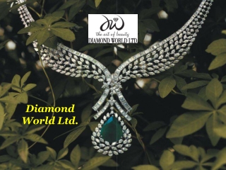 Must-Have Features of a Top-Notch Jewellery Fashion Shop in Bangladesh