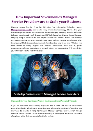 How Important Sevenmonies Managed Service Providers are to Scale your Business