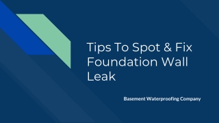 Tips To Spot & Fix Foundation Wall Leak