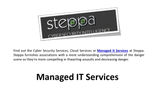 Managed IT Services — Steppa