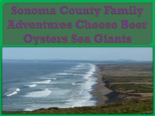 Sonoma County Family Adventures Cheese Beer Oysters Sea Giants