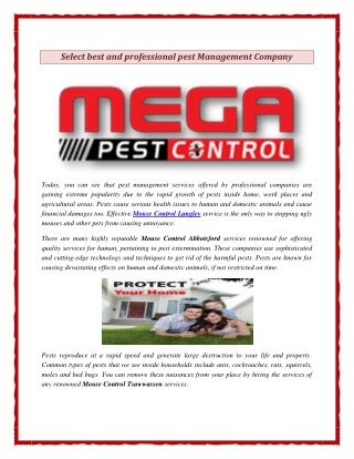 Select best and professional pest Management Company