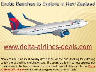 Exotic Beaches to Explore in New Zealand