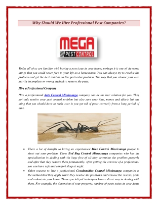 Why Should We Hire Professional Pest Companies
