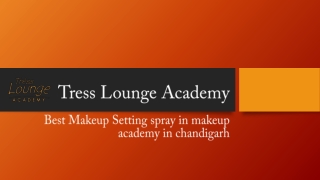 Best Makeup Setting spray in makeup academy in chandigarh - Tress Lounge Academy