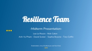 Resilience Team