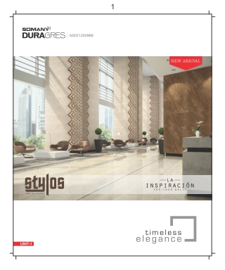 Largest Collection of Duragres Wall Tiles in India