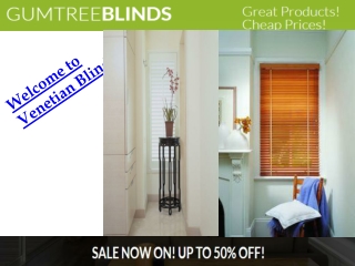 Venetian Blinds