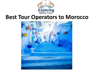 Best Tour Operators to Morocco