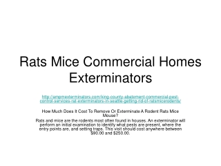 Rats Mice Commercial Homes Exterminators
