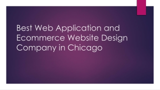 Best Web Application and Ecommerce Website Design Company in Chicago