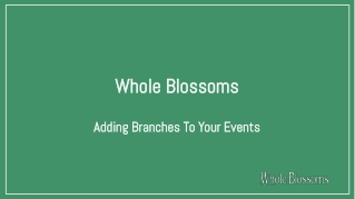 Where to Buy Floral Branches at Least Price